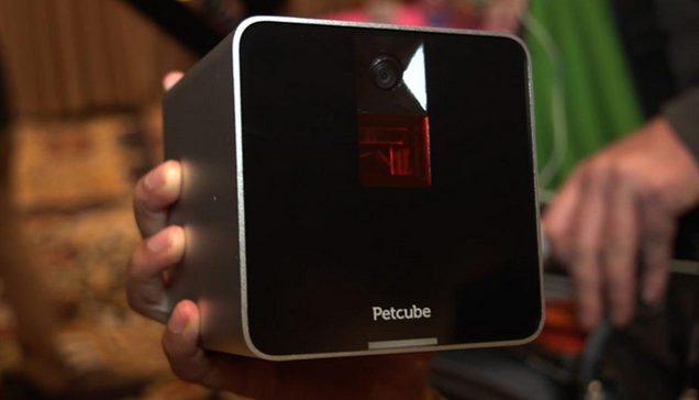 Petcube