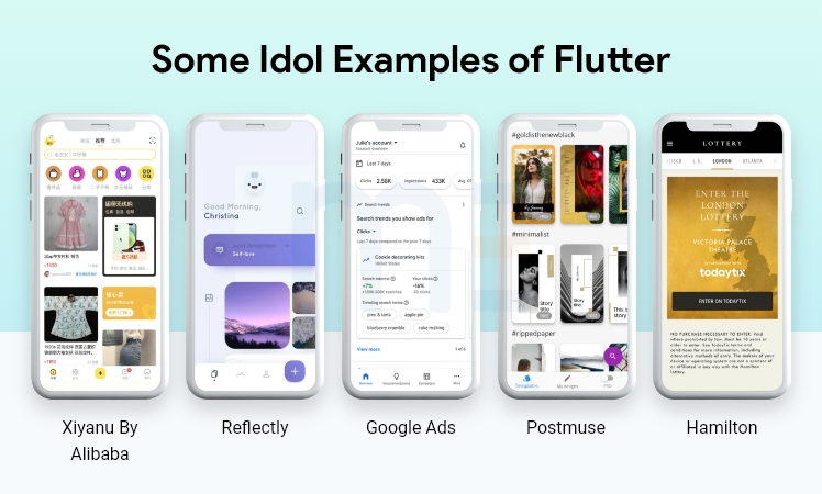 Idol Flutter based app development examples